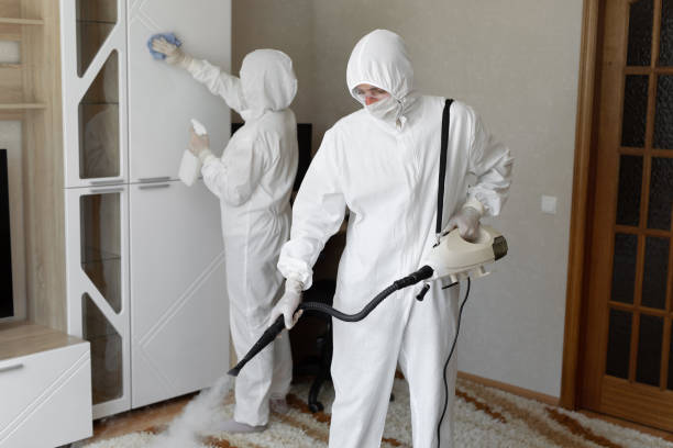 Best Mold Removal Process  in Galva, KS